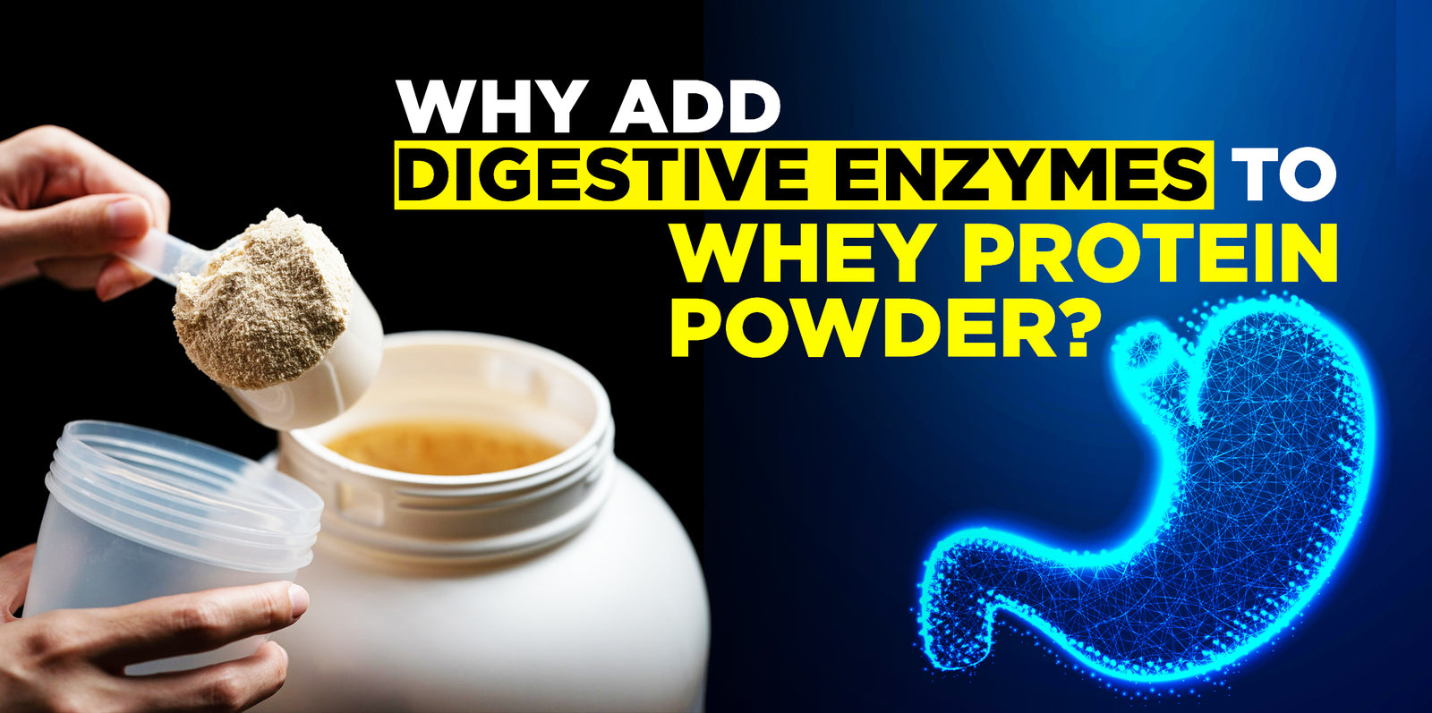 Why Add Digestive Enzymes To Whey Protein Powder?