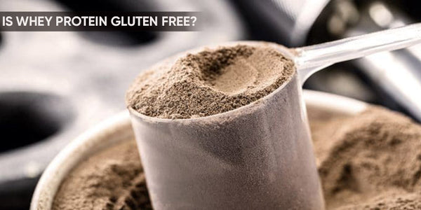 Is Whey Protein Gluten Free?