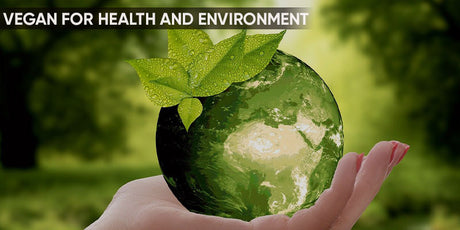 Plant Protein: Nourishes the Body and Protects the Environment