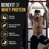 best whey protein, whey protein powder, protein, whey, protien, whey protein 1kg, gold whey protein, gym protein, whey protein powder 1kg, whey protein for women