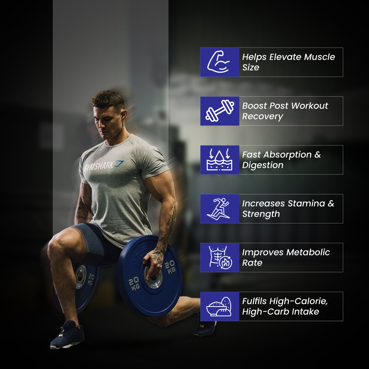 Fitspire Mass Gainer Double Chocolate (1.5 Kg) & Gym Bag