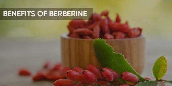 proven health benegits of berberine