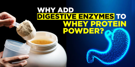 Why Add Digestive Enzymes To Whey Protein Powder?