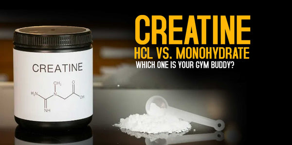 Creatine HCL Vs. Monohydrate: Which One Is Your Gym Buddy?