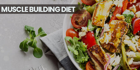 Muscle Building Diet