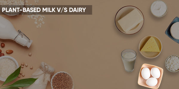 plant based milk vs dairy, which on is better option