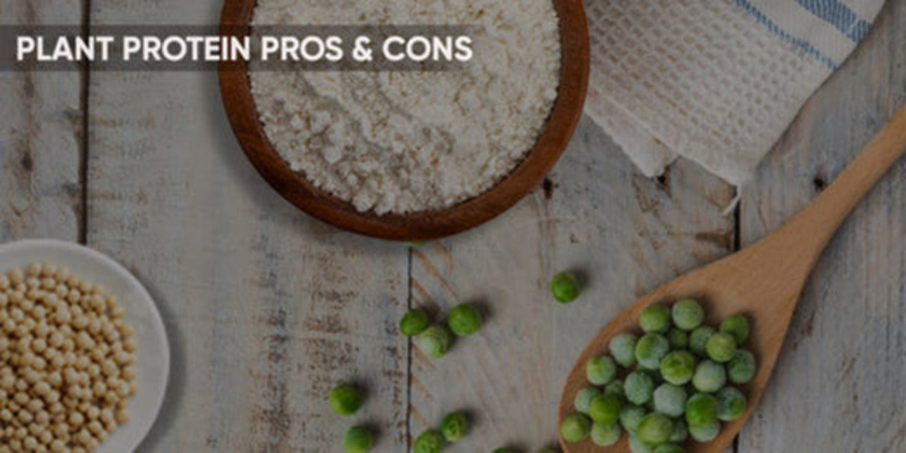Pros and Cons of Plant-based Protein Powder
