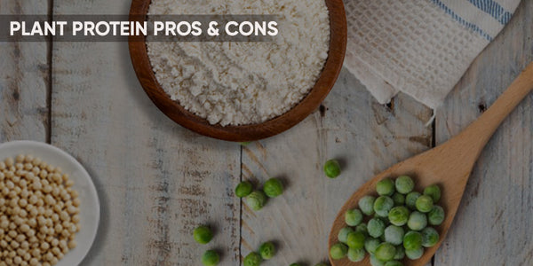 Plant Protein Pros and Cons