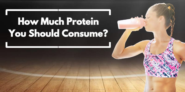 Why You Should Add Whey Protein to Your Diet