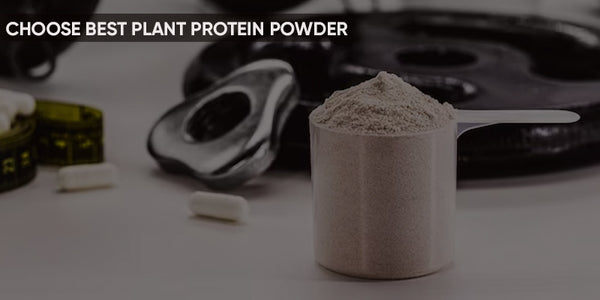 Choose Best Plant Protein Powder