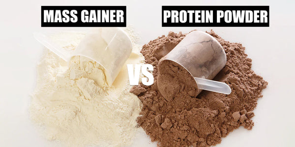 Protein Powder vs. Mass Gainer: Which One Fits Your Fitness Goals?