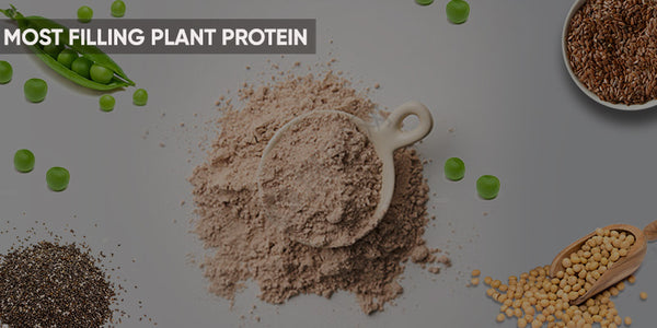 MOST FILLING PLANT PROTEINS
