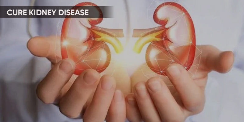 How to cure kidney diseases?