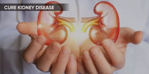 How to cure kidney diseases?