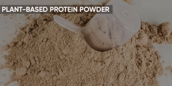 Plant-Based Protein Powder: Sources & Benefits