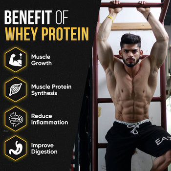 best whey protein, whey protein powder, protein, whey, protien, whey protein 1kg, gold whey protein, gym protein, whey protein powder 1kg, whey protein for women