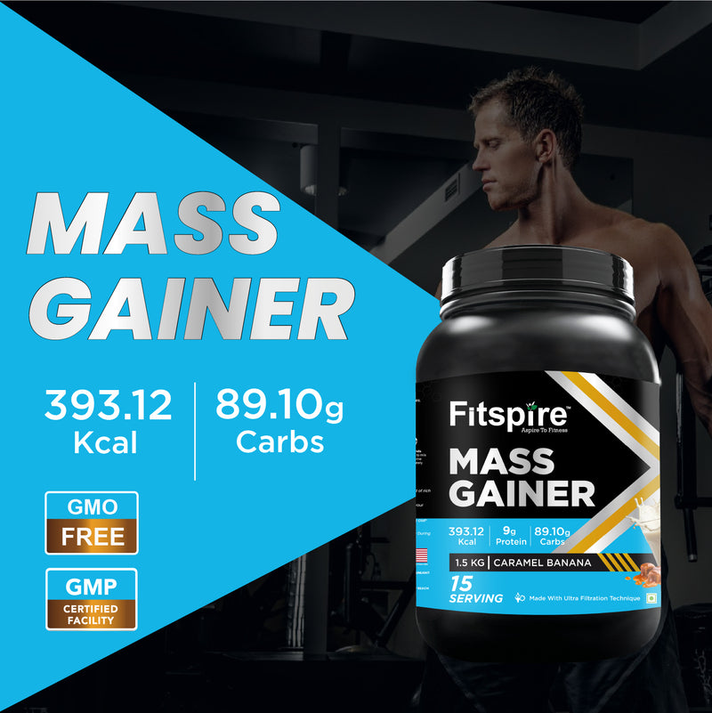 FITSPIRE MASS GAINER - (1.5 KG)