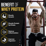 Benefits of Fitspire Gold Isolate Whey Protein Powder