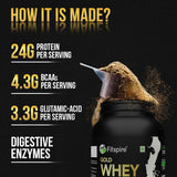 Fitspire Gold Isolate Whey Protein Powder Coffee Flavor
